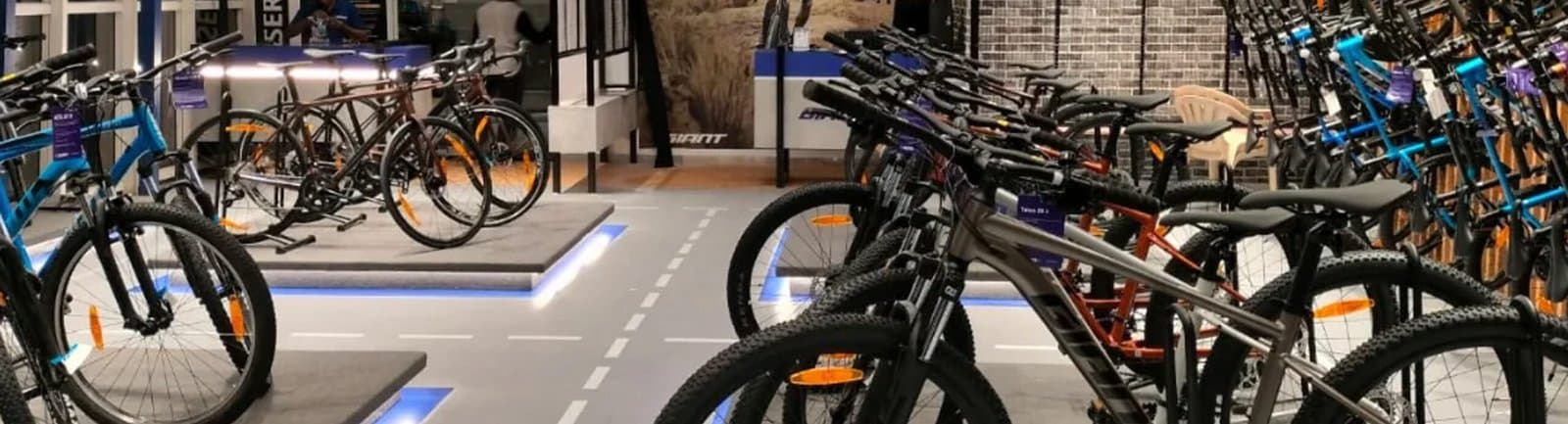 Franchise Background